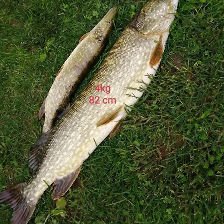 U Izy Stare Kiejkuty Konukevi Szczytno (Warmian-Masurian)