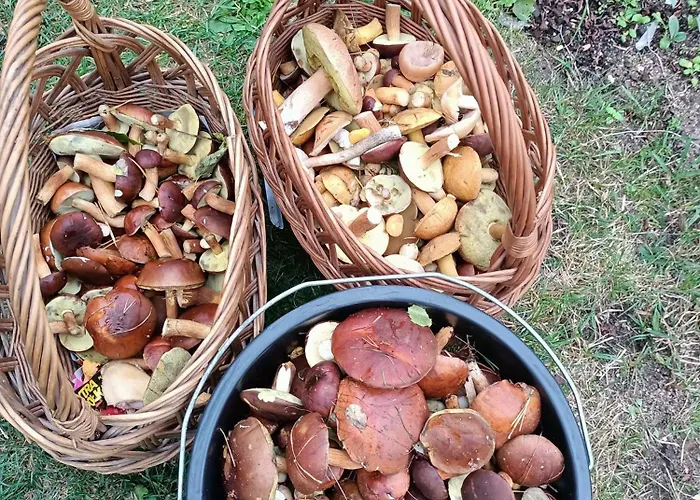 U Izy Stare Kiejkuty *